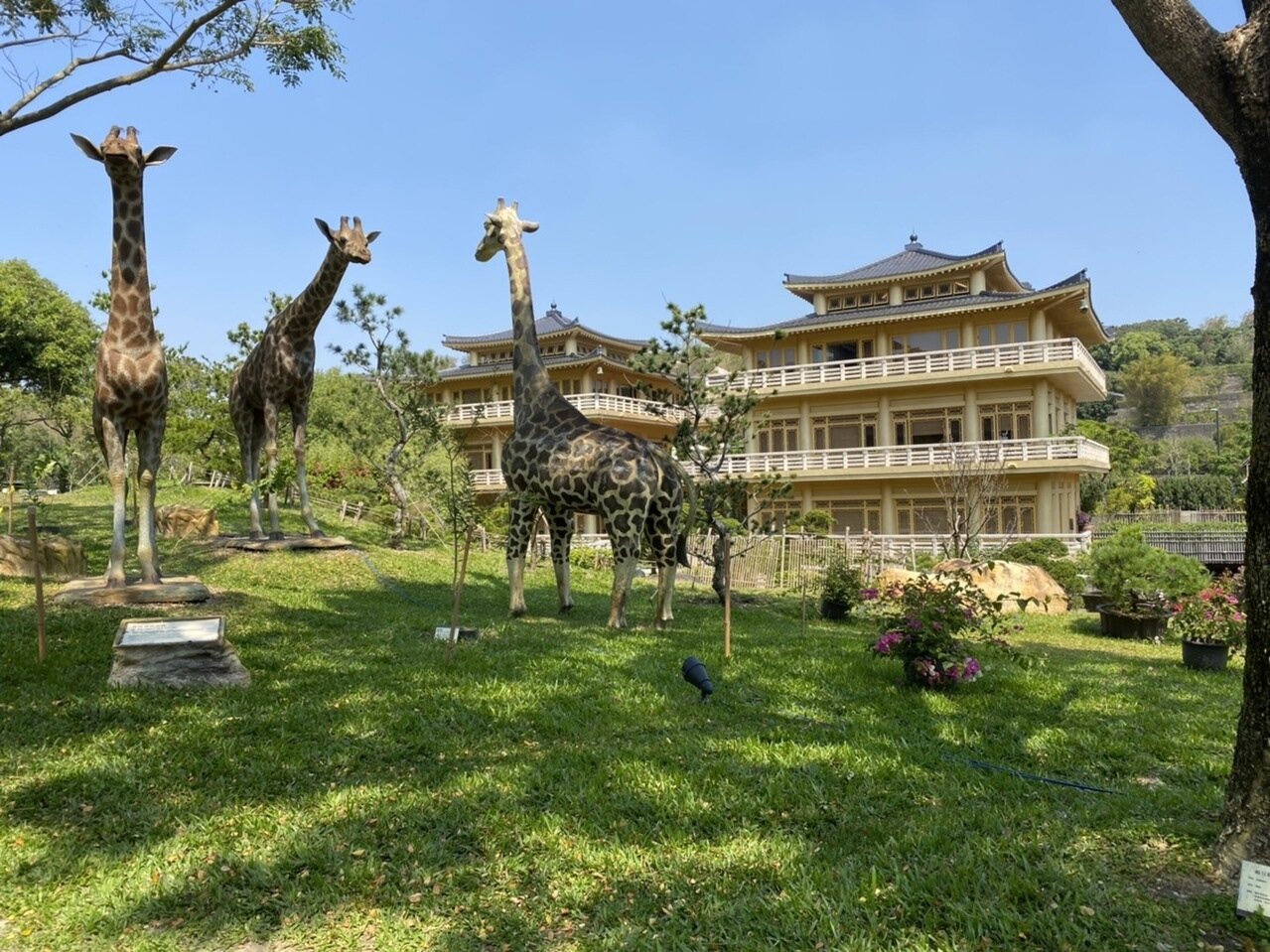 今天是植樹節,佛光山佛陀紀念館特地舉辦「佛教植物園區」揭碑典禮。記者陳弘逸/攝影