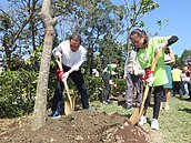 3/12植樹節　新北宣示減碳40公噸　年種4萬樹、5百株珊瑚