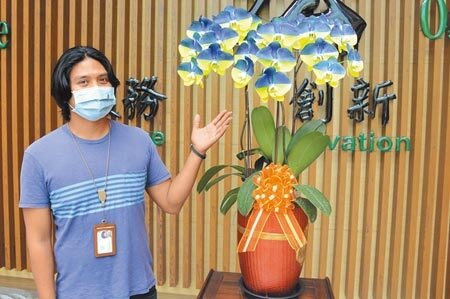 屏東蘭花業者以行動聲援烏克蘭,特地透過噴印技術,在白色蝴蝶蘭上噴出藍黃國旗顏色,目前只送不賣。(林和生攝)