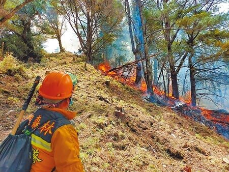 NCC前專門委員喬建中,去年帶團途經玉山國家公園杜鵑營地,任令隊員違法就地砍伐、取柴及生火,釀成重大森林火災,監察院調查認為喬建中有損國家文官官箴及政府形象,予以彈劾,移送懲戒法院。(本報資料照片)