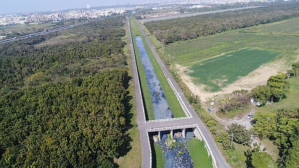 台南市府利用台糖港墘農場準備開發為綠能產業園區，環保團體批又要砍樹，經發局表示會保留至少一半，並以原生種樹木優先。圖／台南市環保聯盟提供