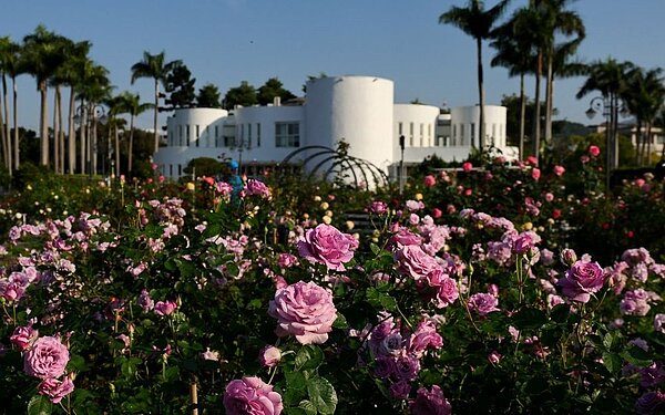花瘋了！臺北玫瑰園「全天候」美拍攻略。圖／北市府提供
