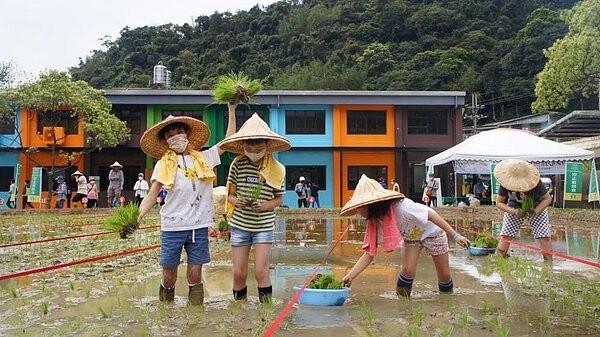 為使一般民眾認識農田生態、體驗農業生產過程和樂趣,農會也開闢了300坪的水稻田。圖/新北市政府提供