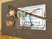 台北大同狗活動區地下　竟藏鋼筋、碎紅磚