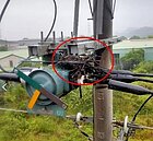 鳥築巢、打雷　今造成高雄大社、鳳山近2500戶停電