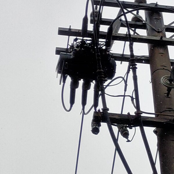 高雄大社區和平路一段與大社路口的電杆，因禽鳥築樹枝碰觸設備導致停電。記者陳弘逸／翻攝