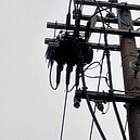 又停電了！鳥巢、打雷讓高雄兩區2400多戶停電