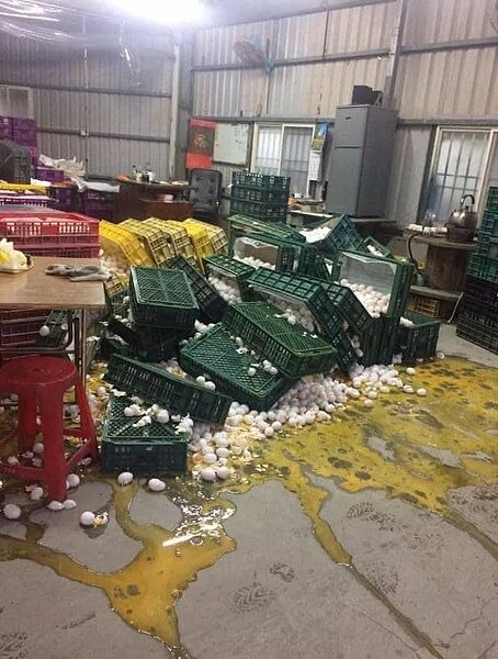 今天凌晨的連續強震,有蛋商的雞蛋幾乎全破。圖/取自臉書爆料公社