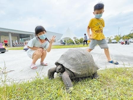 屏東東港鵬村溼地「村長」大爆紅,不僅熟客指名要找牠,連「頭回客」也因牠變成「回頭客」。(謝佳潾攝)