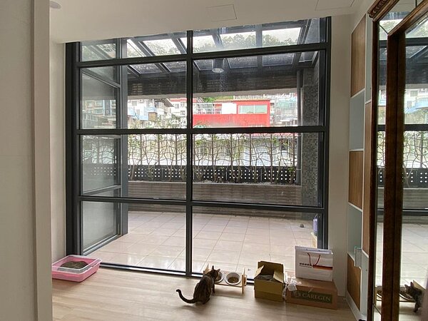 露臺。圖/取自黃大米臉書