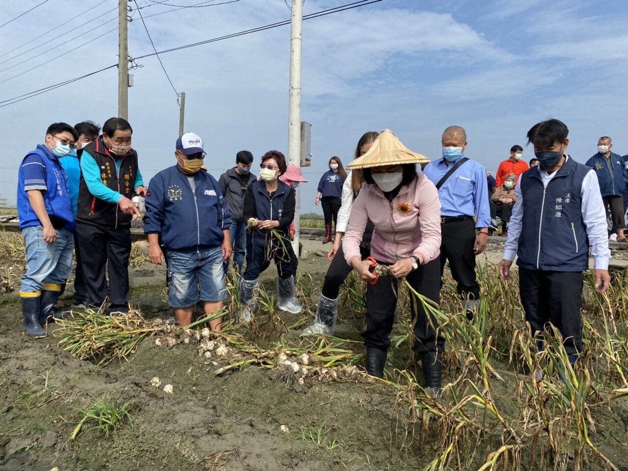雲林縣長張麗善（戴斗笠者）昨天下田剪蒜頭並聽取農民心聲。記者蔡維斌／攝影 