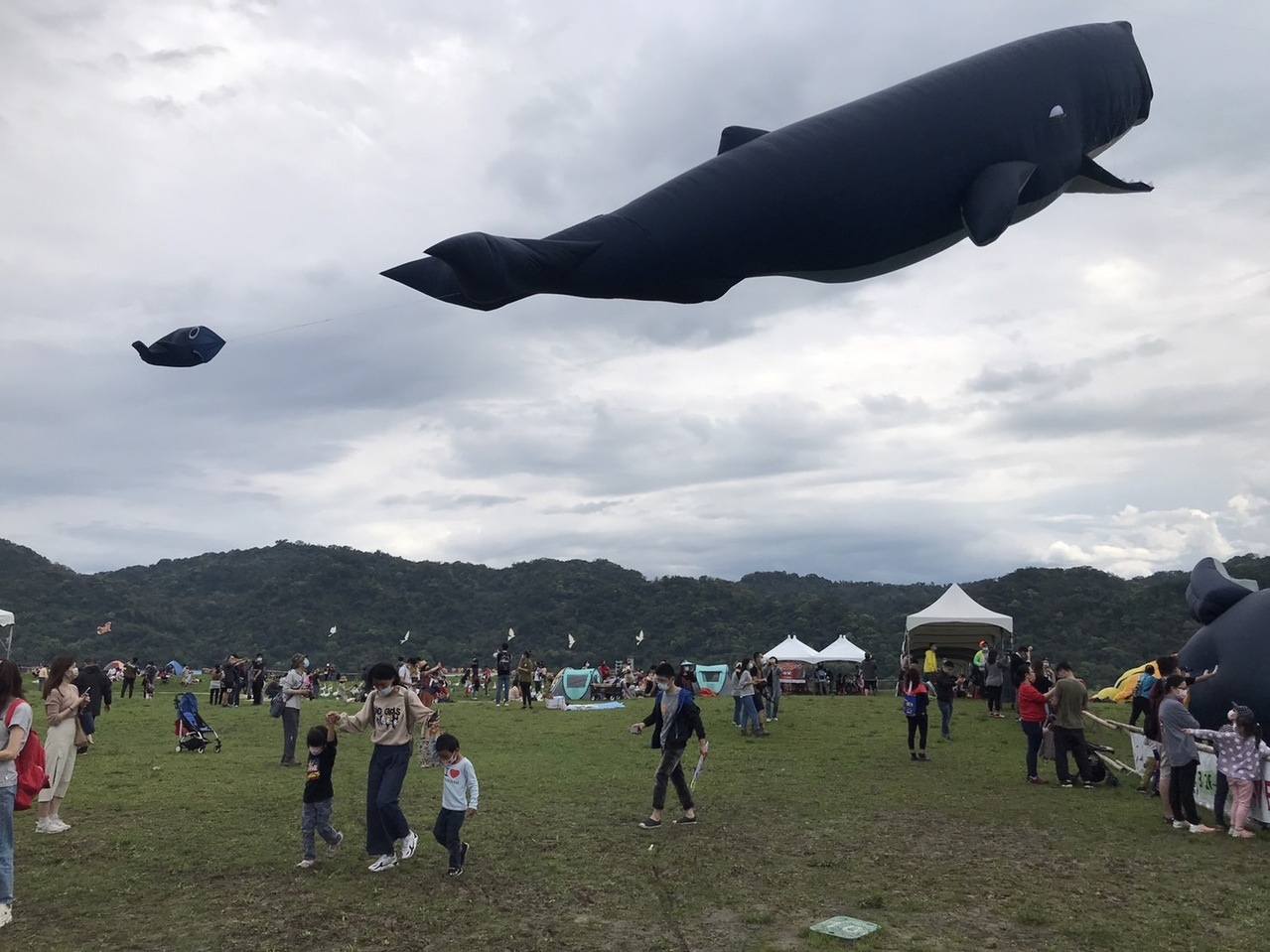 2022桃園國際風箏節春季「鯨奇之旅」活動因天候不佳，延期至4月9日及10日，昨天試飛展演，吸引民眾觀賞。記者翁唯真／攝影 