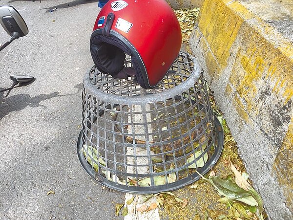 高雄鳳山區五甲一路28日下午發生一起機車追撞事故，未料，導致車禍發生的元凶竟是一隻約50公分長的「綠鬣蜥」。（翻攝畫面／洪浩軒高雄傳真）