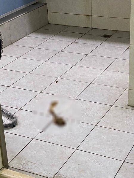 面對脫糞事件造成機關形象受損,市警局除加重處分至申誡2次外,蔡姓隊長深感愧疚,也自請調整服務地區。記者邵心杰/翻攝