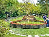 北市環保葬人數10年翻8倍　穴位恐不足