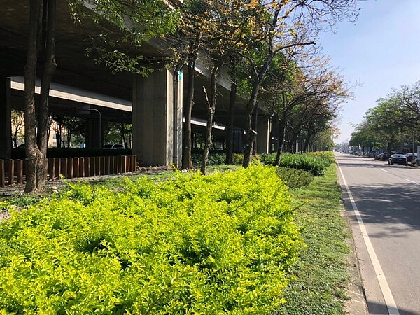 台積電投入千萬元協助台74橋下綠美化完工。圖/台中市政府提供
