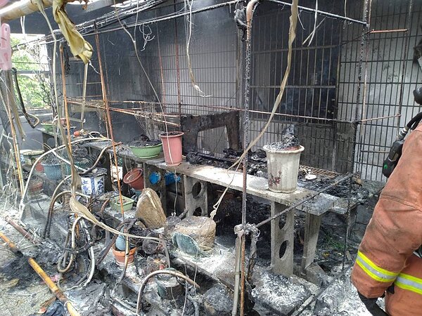 適逢清明連假,新北市中和區今天有民眾在住家頂樓燒金紙,疑因火苗燒到可燃物,發生火災。記者翁至成/翻攝