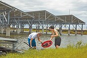 種電取代養魚　魚塭售價飆每公頃600萬