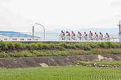海線秘境新景點！大甲北堤東路自行車道啟用　稻田中騎車超愜意