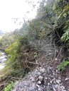 落石坍方、多處樹倒　霞喀羅步道估6月底修復