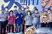 黑鮪魚季開紅盤！　「第一鮪」每公斤單價10,100元創歷年新高