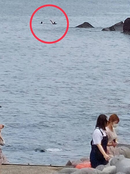 2名生態調查人員的頭出現在海面浮沈，差點被賞鯨船撞上，遊客直呼「誇張」。圖／簡逢均提供