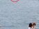 龜山島海面冒出「2顆人頭」賞鯨船急剎車　驚險一幕真相曝光