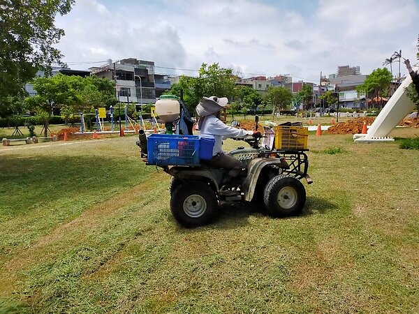 多名桃園市議員質疑市府防治紅火蟻成效,農業局回應,針對熱區定期施灑防治餌劑,發生率已降低。圖/桃園市農業局提供