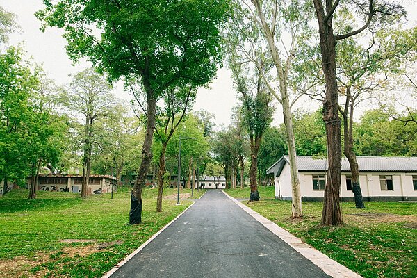 保留530棵大樹,南昌公園打開圍牆、增設球場,預計5/20開放。圖/桃園市政府提供