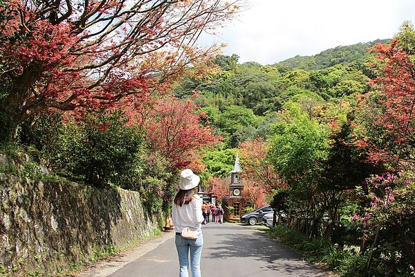 從即日起至5月初,可以看到菁山社區限定的楓紅美景。圖/臺北市政府工務局大地工程處提供