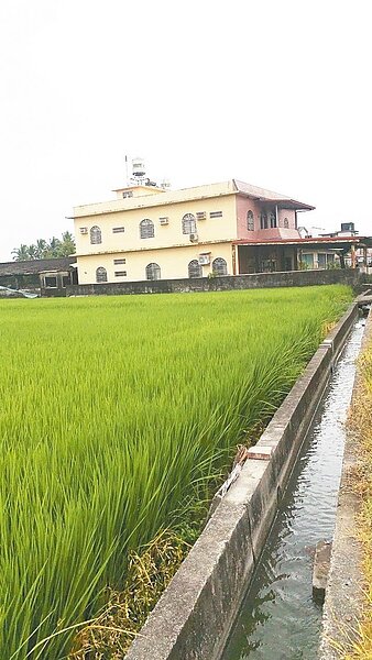 高雄不少農地上有農舍,市議員接獲陳情指出,申請農舍過程常被駁回。記者林巧璉/翻攝