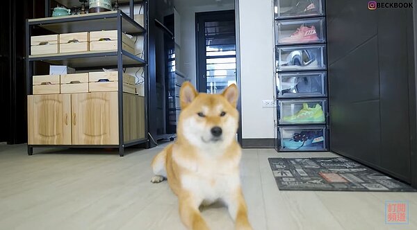 貝克書公開新家裝潢。圖/翻攝自貝克書YouTube