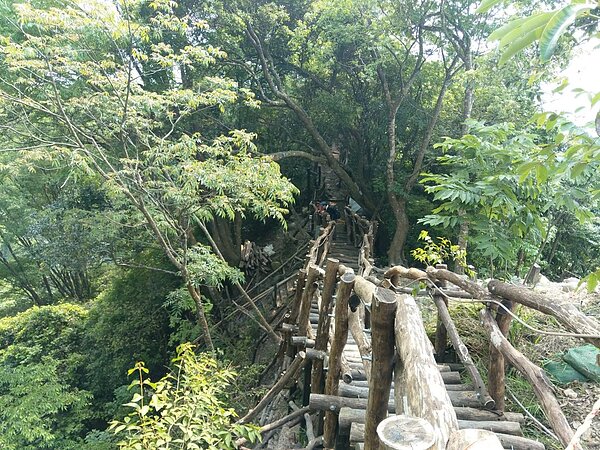 台中大坑3號步道20日開放通行。圖/台中市政府提供