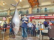 271公斤南方澳第一鮪 189萬售出