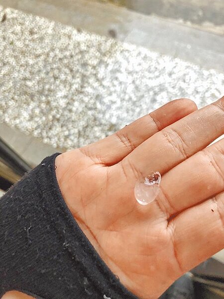 受到水氣增加影響,台南市局部地區23日大雨,後壁區南85線一帶數個鄰里出現冰雹,冰雹體積約彈珠大小。圖/台南市政府警察局白河分局提供