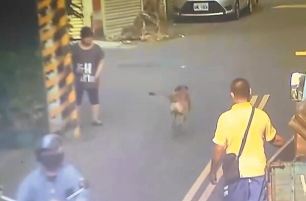 警方調閱監視器發現，疑似攻擊小女童的黃狗。圖／翻攝照片