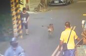 惡犬咬傷5歲童落跑　警調監視器尋凶