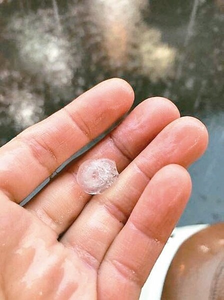 嘉義縣水上鄉降下冰雹。圖/林緗亭提供