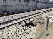 又下陷了！台南鐵路地下化工程鐵軌路基淘空　影響列車