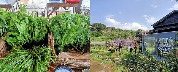 田中央的希望市集，農村社區市集現採新鮮又健康。圖／新北市農業局提供