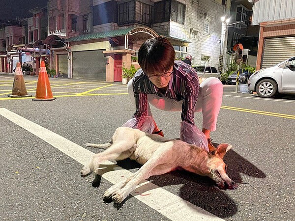 圖為嘉義市動物守護協會創會會長吳育才曾協助處理誤食毒餌的流浪動物後事，與本案無關。圖／吳育才提供