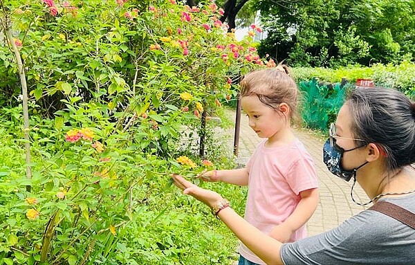 塭仔底濕地公園是城市裡最富裕的生態後花園。圖／新北市水利局提供