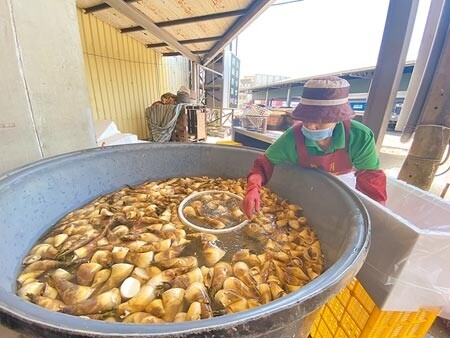 台南關廟綠竹筍今年產期延遲1個半月，預估2周後盛產，但今年受疫情影響，筍農憂心價格直直落。（曹婷婷攝）