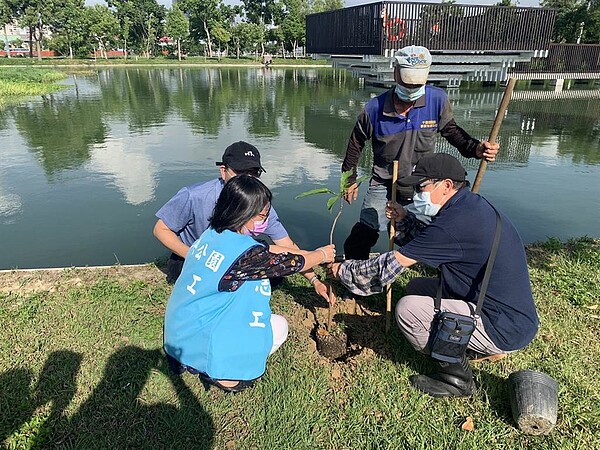 台中市中央公園幅員廣闊，綠樹成蔭、綠草如茵，近日還借重科博館人員的專業，大規模在公園內廣植綠色植栽，有意打造三大特色植栽區，作為育種基地和環境教育場域。圖／建設局提供