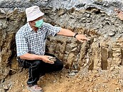 埔里民眾蓋屋怪手一挖出現石棺　疑為水蛙窟史前遺址