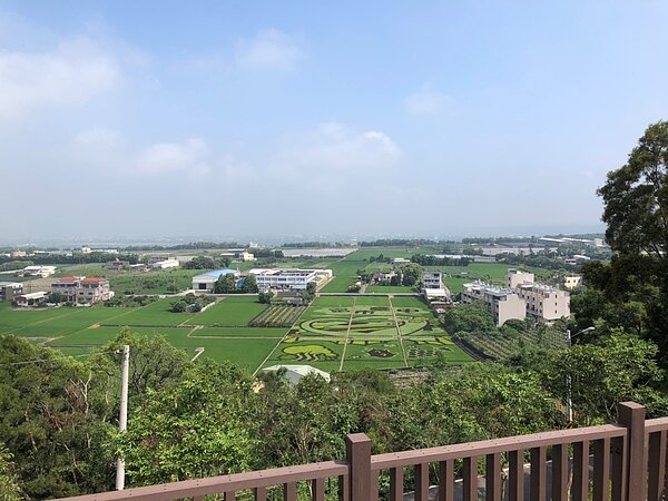 稻田彩繪觀景台。圖/台中市政府提供