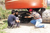 基隆復育公園疑似鼬獾屍體　已焚化