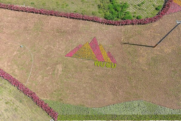 利用色彩豐富的低矮灌木,排列出五股夏綠地的意象圖騰。圖/新北市景觀處提供