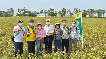 台南市後壁區農會配合大區輪作轉作措施,推廣種植雜糧作物,9日辦理觀摩會,農民出席踴躍。(張毓翎攝)