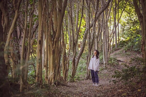 位於人口密集都會區的自強公園充滿綠意,讓民眾可以親近自然放鬆身心。圖/新北市景觀處提供